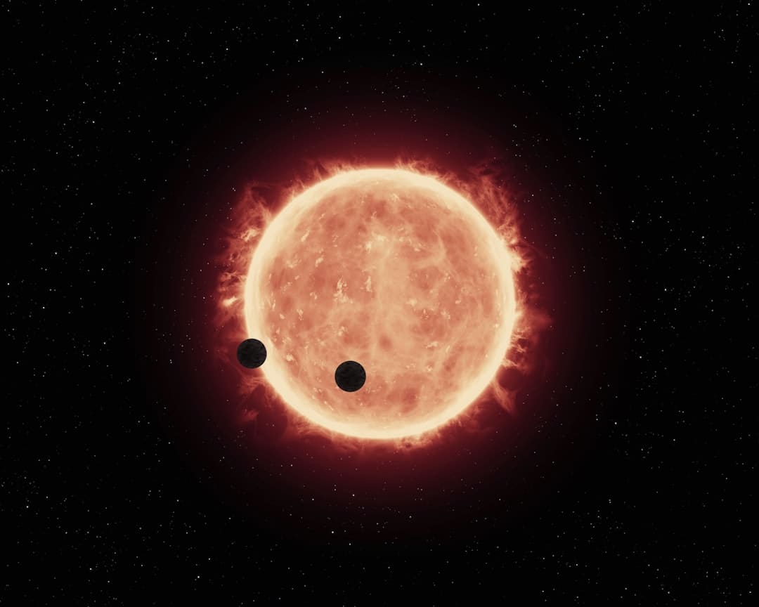 《歌手2024》揭榜成功 许钧:日子和音乐的实质便是实在